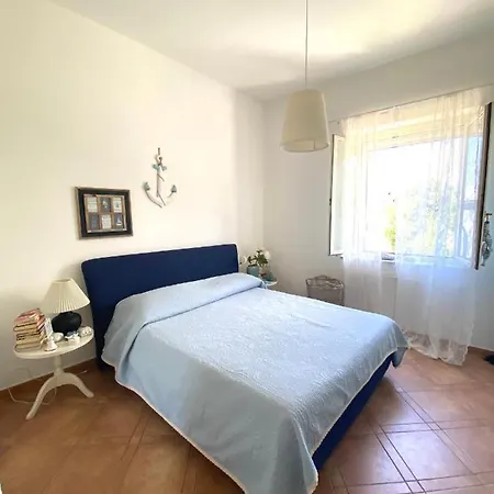 Blu Apartament *